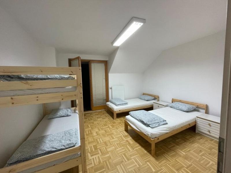 Buzahouse Vandrarhem Ljubljana Exteriör bild