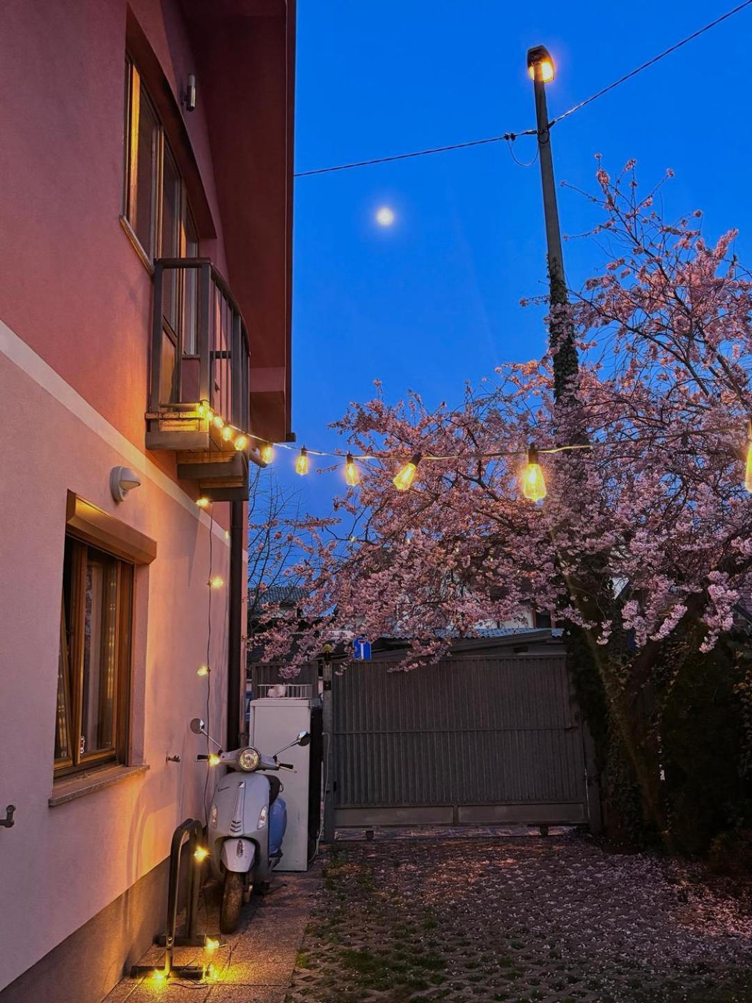 Buzahouse Vandrarhem Ljubljana Exteriör bild